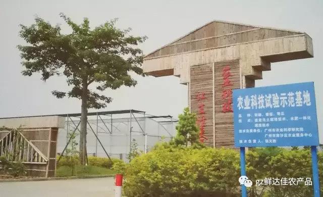 南沙農業生產基地